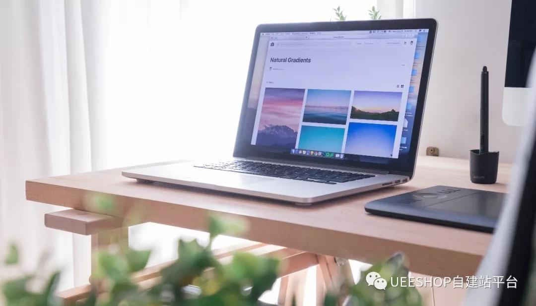 在Instagram上搜索FB用戶最感興趣的內(nèi)容